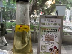 -探窝·竹笙椰子鸡(杨箕店)