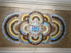 -上海昆虫博物馆