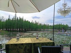 -白鹭湾湿地公园