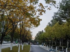 -天鹅湖体育公园