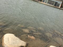 -大兴滨河森林公园