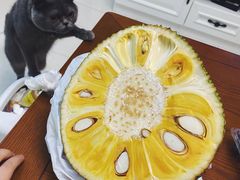 -夜猫子串吧·龙虾.江西小炒(万塘路店)