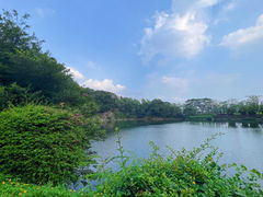 -王借岗森林公园