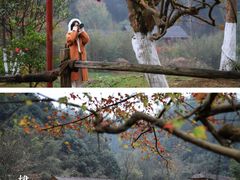 -常德桃花源景区