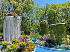 -上海共青森林公园