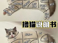 -奈雪的茶(M+世纪都会广场店)