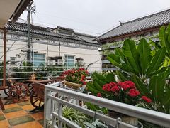 -阿鹏故事云南野生菌火锅(人民路店)