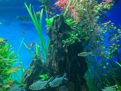 -太平洋海底世界