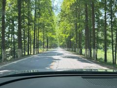 -五七小李子油焖大虾(总店)