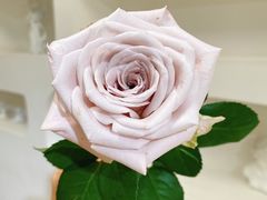 -森野花艺培训·企业团建活动沙龙