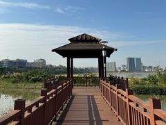 -立新湖公园
