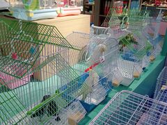 -龟与熊猫宠物公园(南坪店)