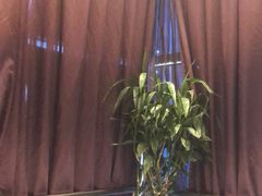 -沪碟·精菜坊(闵行店)