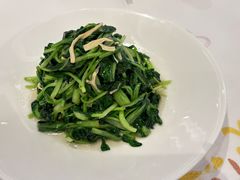 -粤珍轩·家宴·广式茶点(新城广场店)