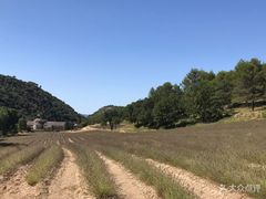 -塞南克修道院