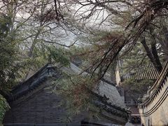 -潭柘寺景区