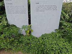 -涉地可支