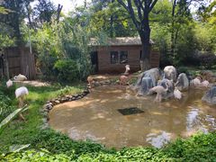 -昆明动物园