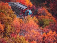 -少华山国家森林公园