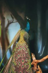 -酷嗒动物文化乐园(cutezoo西溪乐天城店)