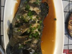 石斑鱼-盒马鲜生(和谐广场店)