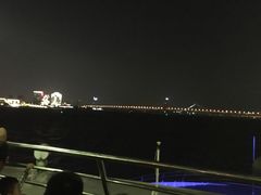 -武汉两江游览·夜游长江(汉口粤汉码头)