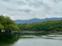 -星湖旅游景区七星岩