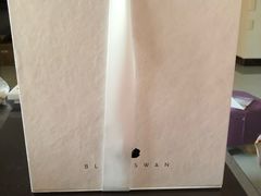 -BLACKSWAN黑天鹅(环球店)