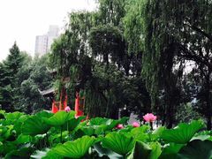 -四川大学(望江校区)