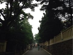 八大关景区-八大关景区