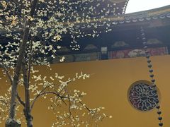 -西园寺素食(西园弄戒幢律寺店)