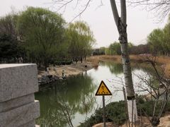 -大兴滨河森林公园