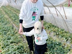 -小鱼草莓采摘园农家乐·小鱼餐厅