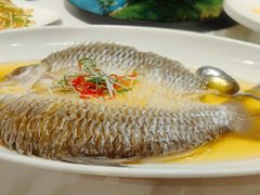 -老人和饭店(打浦路店)