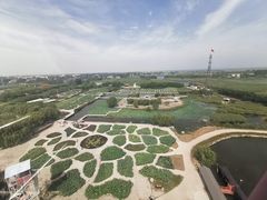 -白洋淀景区