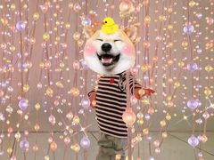 -天津梵高星空艺术馆(天河城旗舰店)