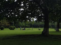 -成都南湖公园