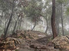 -岳麓山风景名胜区