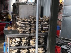 -蚝专家(北滘店)