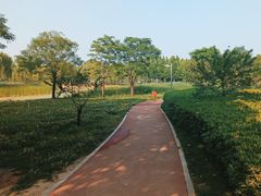 -北龙湖湿地公园