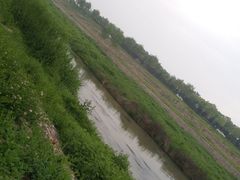 -洨河生态公园