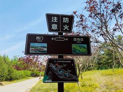 -永定河休闲森林公园