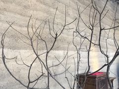 -無用生活空间(北京店)