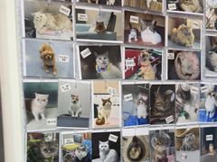 -佑安动物医院·全科·内窥镜中心(幸福巷店)