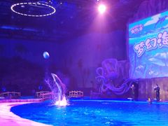 -华夏文旅海洋公园