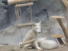 -海合安青岛极地海洋公园