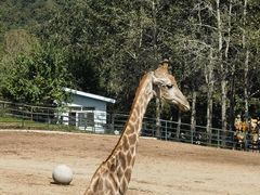 -大连森林动物园