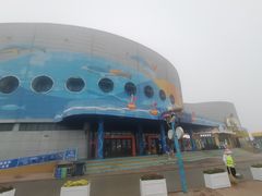 -海合安青岛极地海洋公园