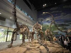 -自贡恐龙博物馆