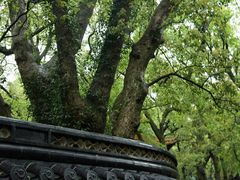 -普陀山慧济禅寺